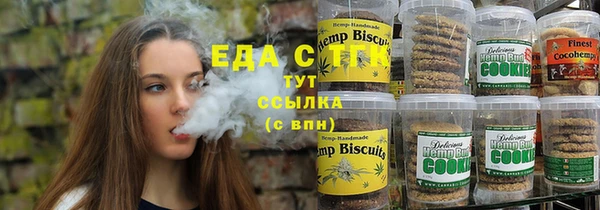 индика Вяземский