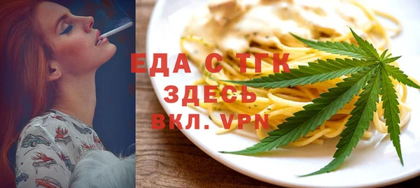 индика Вяземский